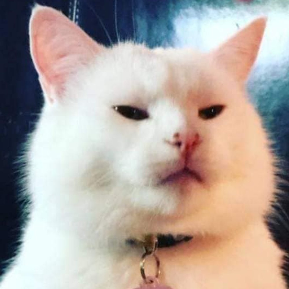 Meet your Posher, Rachael